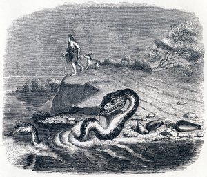 Käärmeen etumatka ja häntä (La tete et la queue du serpent) - La Fontainen sadut tekijältä Grandville