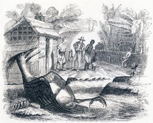 Lintu satuttaa nuolesta - La Fontainen Fables tekijältä Grandville