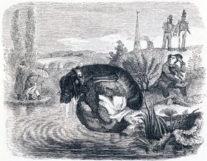 Koira, joka luopuu saaliinsa varjosta - Fables by La Fontaine tekijältä Grandville