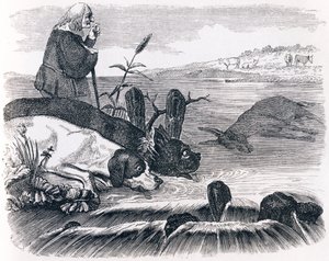 Kaksi koiraa ja kuollut aasi - La Fontainen Fables tekijältä Grandville