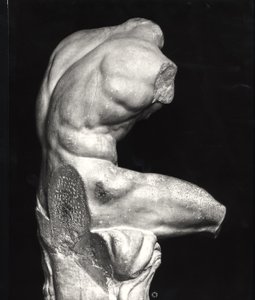 Belvederen vartalo (marmori) (m/w kuva) tekijältä Greco Roman Greco Roman