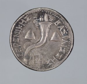 Hopea Didrachma of Berenice II (hopea) (katso myös 293751) tekijältä Greek