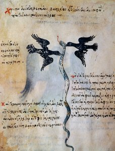 Kuvaus Konstantinopolista kahden korpin välissä, pienoiskuva Leo VI Wisen oraakkelista tekijältä Greek School
