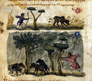 Metsästys villisikaa 1200-luvun Oppianus De Venationen kreikkalaisen käsikirjoituksen mukaan. tekijältä Greek School