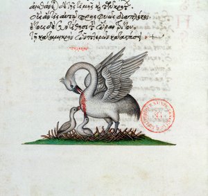 Ms 3401 Pelikaani, joka lävistää rintansa ruokkiakseen nuoriaan, Manuel Philesin bestiaarista, 1566 tekijältä Greek School
