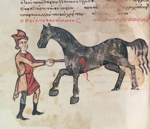 Ms Grec 2244 fol.37v Leikkaus hevosella tekijältä Greek School