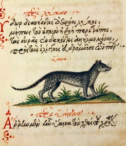Aelianuksen (2.-3. vuosisadat jKr.) tutkielma hyeenasta, testi ja miniatyyri De animalium natura et proprieta libelluksesta tekijältä Greek School
