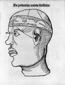 Aivoleikkaus: tutkimus eri aivotoimintojen lokalisoimiseksi. Kaiverrus "Margarita phylosophia", Gregor Reisch (1467-1525), Bale