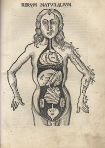 Filosofinen Margarita Anatomia, 1504
