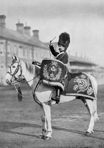 Plum Duff, Royal Scots Greysin rumpuhevonen, 1896