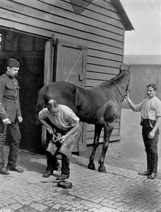 Kuninkaallisen hevoskaartin farrier-majuri, 1896.
