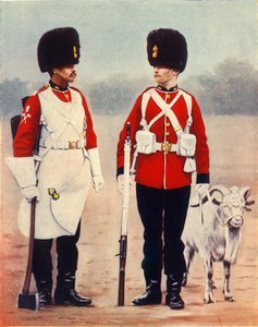 "The Royal Welsh Fusiliers", 1901.