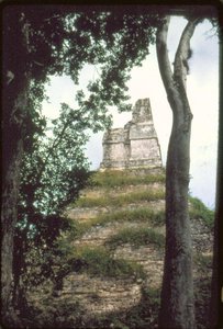 Kirjoitusten temppeli, n. 700 jKr tekijältä Guatemalan School