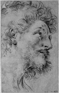 Pyhän Crispinuksen pää tekijältä Guido Reni