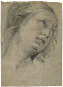 Nuoren naisen pää katselee ylöspäin tekijältä Guido Reni