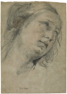 Ylöspäin katsovan nuoren naisen pää, n. 1609 (musta-punainen liitu, jossa valkoista liitua ruskealle levitetylle paperille) tekijältä Guido Reni