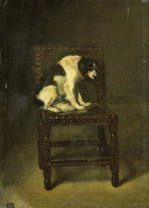 Koira tuolilla