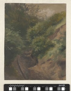 Dyynitie tekijältä Guillaume Anne van der Brugghen