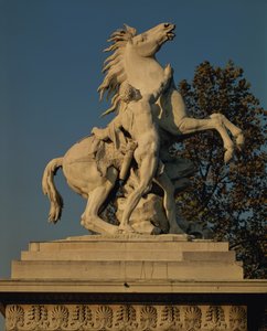 Jäljennös toisesta kahdesta "Marlyn hevosesta", jotka oli alun perin tehty Marlyn linnassa (Yvelines, 1739-45) sijaitsevaa hevoslammikkoa varten (marmori).