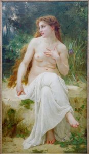 Nymfi