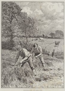Agricultural Scenes, kesäkuu, apilan niitto