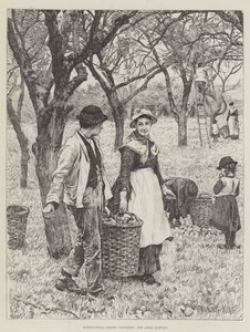 Agricultural Scenes, marraskuu, Apple Harvest