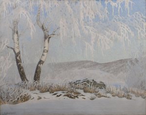Valkoinen huurre auringonpaisteessa tekijältä Gustaf Fjæstad
