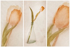 Hienostunut tulppaanien asetelma