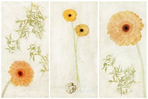 Soft Gerbera -kolmiosainen teos
