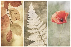 Vintage Nature -kolmikko