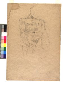 Männlicher Torso tekijältä Gustav Klimt