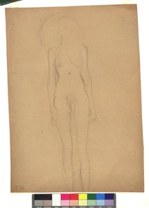 Stehender weiblicher Akt tekijältä Gustav Klimt
