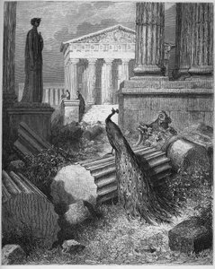 Peacock Complaining To Juno - Jean de La Fontainen (Lafontaine) (1621-95) "Fablesista" - kaiverrus Gustave Doren (1832-83) mukaan - Yksityinen kokoelma