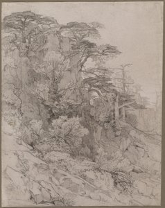 Kalliorinteen puut 1800-luvun lopulla. tekijältä Gustave Achille Guillaumet