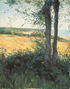 Meren rannalla, Normandia, 1884 tekijältä Gustave Caillebotte