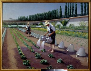 Puutarhurit. Kaksi miestä kastelukannuineen kastelee istutustaan. Niiden lähellä lasikellot peittivät viljelykasveja. Gustave Caillebotten (1848-1894) maalaus tekijältä Gustave Caillebotte