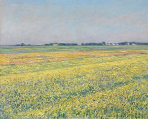 Gennevilliersin tasanko, keltaiset pellot tekijältä Gustave Caillebotte