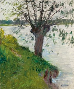 Paju joen rannalla; Saule au bord de la riviere, n. 1891 tekijältä Gustave Caillebotte