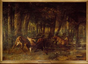 Kevät ura, peurataistelu. Gustave Courbetin (1819-1877) maalaus tekijältä Gustave Courbet
