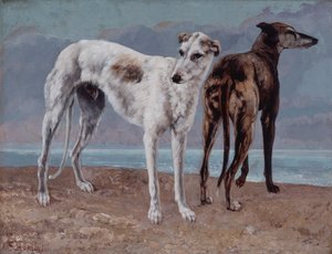 Comte de Choiseulin vinttikoirat tekijältä Gustave Courbet