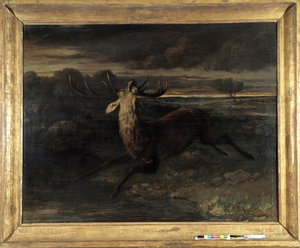 Hirvellä on vettä (metsästää juoksua) sanoo hirvenvoima (öljy kankaalle) tekijältä Gustave Courbet