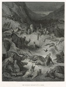 Ruttoon sairastuneet eläimet tekijältä Gustave Dore