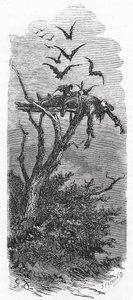 Kelttiläinen taivaanhautaus, 1866 tekijältä Gustave Dore