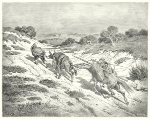 Gustave Doren Don Quijote: "Hän johti persettä riimusta ja meni lähimpään arvaamaansa tietä korkealle tielle" (kaiverrus) tekijältä Gustave Dore