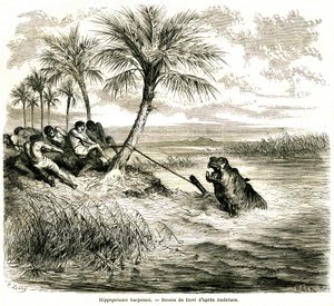 Metsästys Teoghe-joella, joka on Ngami-joen sivujoki. Virtahevon harppuuna. Gustave Doren kaiverrus, joka kuvaa "les aventures et chasse du voyageur Charles-Jean Anderson dans l