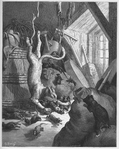 Kissa ja vanha rotta - Kissa ja vanha rotta - Jean de La Fontainen "Fablesista". tekijältä Gustave Dore