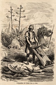 Gustave Doren (1832-1883) piirustus havainnollistaa hänen matkaansa Espanjaan C. Davillierin kanssa vuonna 1862. Kaiverrus hevosten valjastamiseen käytettyjen lankojen ja peltoaitojen tekemiseen käytettyjen lehtien poistamiseksi. ”Le tour du monde”, muokka tekijältä Gustave Dore