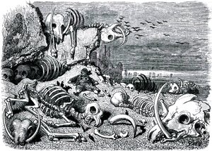 Sindbad the sailor (Sinbad) - tarina tuhannesta ja yhdestä (1001) yöstä - kuvitus Gustave Dore - painos Maxwell 1865 - Seitsemäs ja viimeinen matka: norsujen hautausmaa, jossa Sindbad saa norsunluupuolustukset talteen tekijältä Gustave Dore