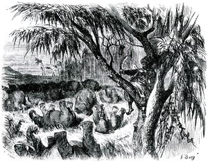 Sindbad the sailor (Sinbad) - tarina tuhannesta ja yhdestä (1001) yöstä - kuvitus Gustave Dore - painos Maxwell 1865 - Seitsemäs matka: Sindbad, istuu puussa, vetää jousellaan norsuja... tekijältä Gustave Dore