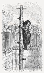 "The Bear Pit - Zoological Gardens", 1872. tekijältä Gustave Dore